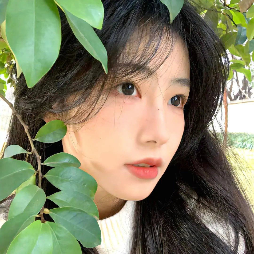 先知